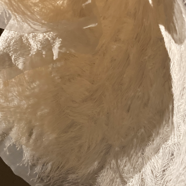 Heidrun Schimmel (c) Diözesanmuseum Bamberg Heidrun Schimmel