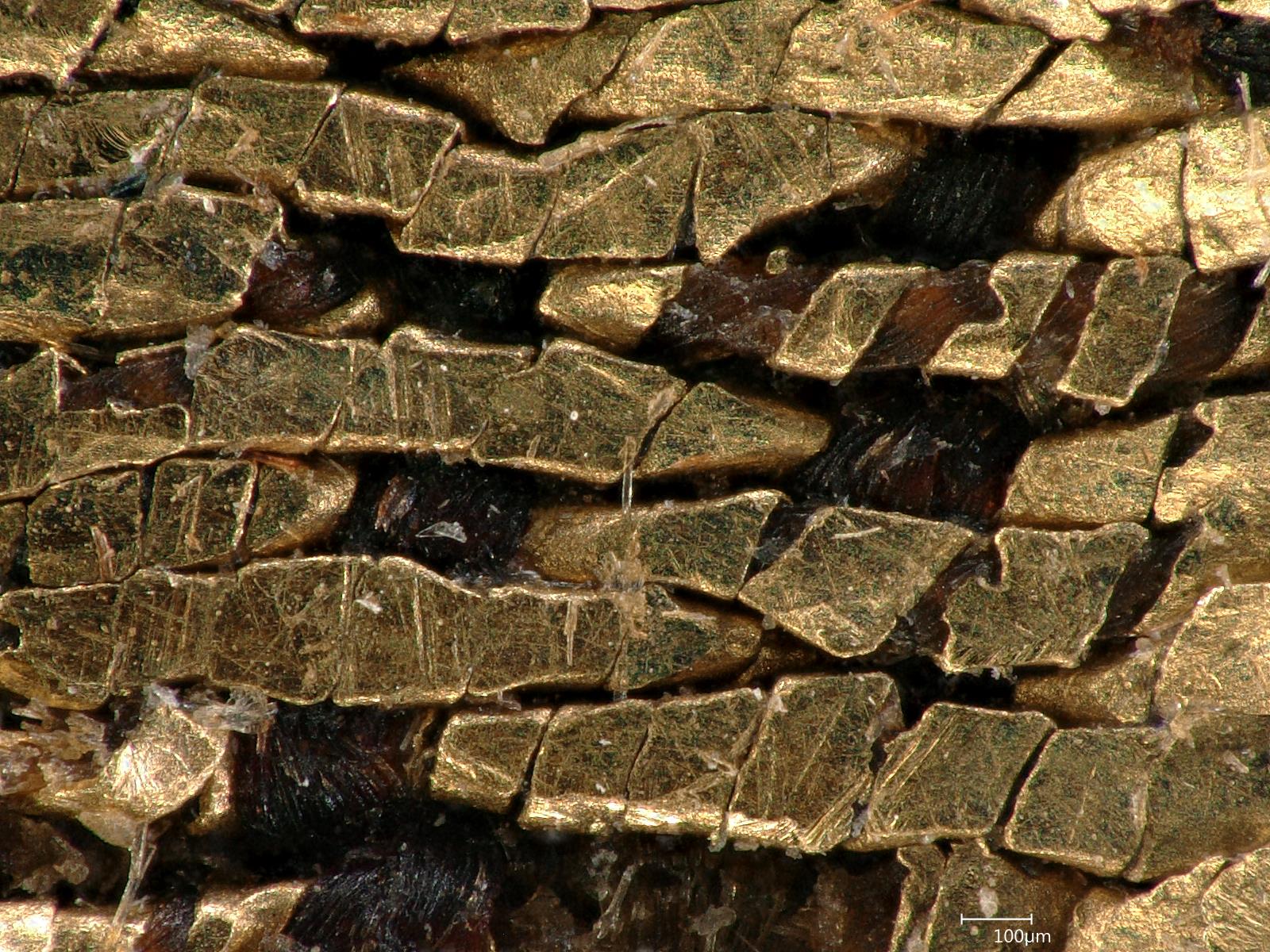 Weißer Kunigundenmantel geplättete Goldfäden